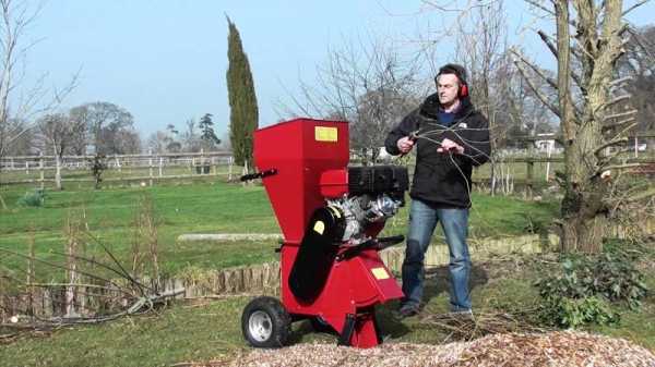 Машинка для измельчения веток – Садовый измельчитель какой выбрать ...