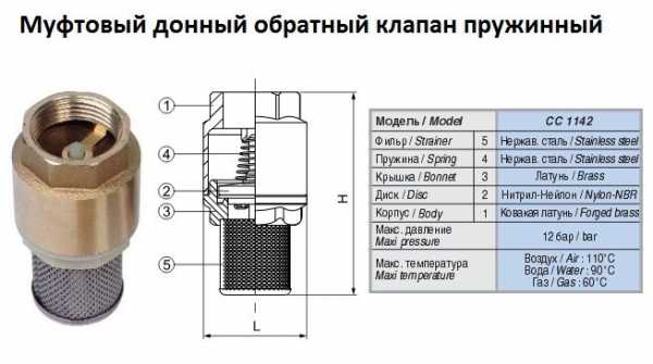 Двухстворчатый клапан расположен между