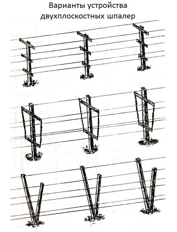 Опоры для винограда схема и размеры фото