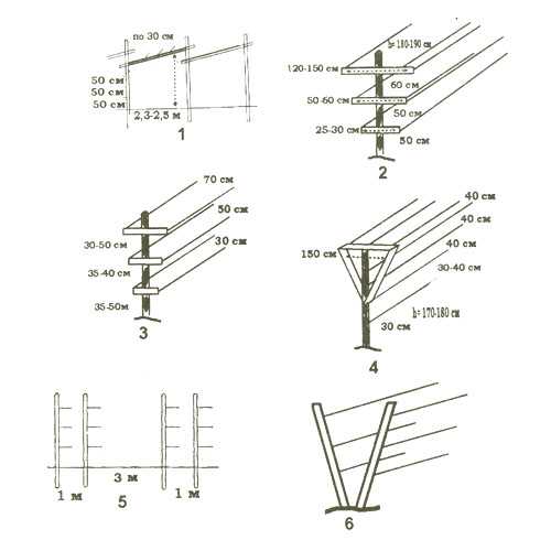 Шпалера для винограда своими руками чертежи и фото