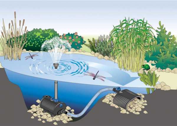 Погружной насос для фонтана – для прудов, садового бассейна на даче .