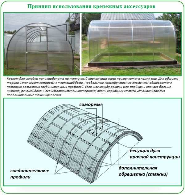  теплицы поликарбонатом своими руками – Как покрыть теплицу .