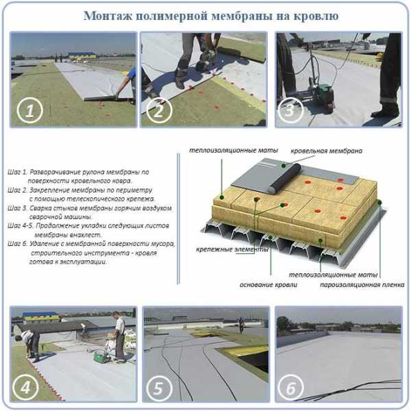 Полимерное покрытие кровли – технология устройства. Разновидности ...