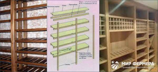 Полки в погребе своими