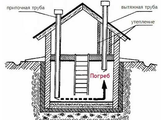 Расположение полок в погребе