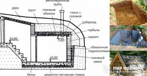 Надземный погреб для хранения овощей фото