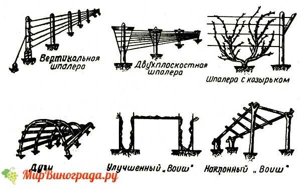 Одноплоскостная шпалера для винограда схема