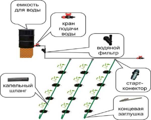 Автополив газона оборудование схема своими руками