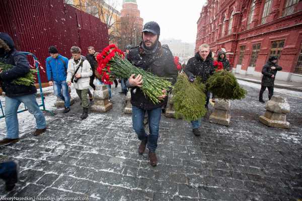 Сталинский цветок фото