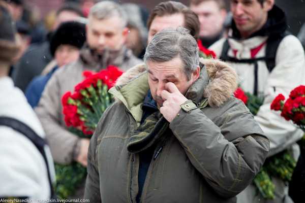 Сталинский цветок фото