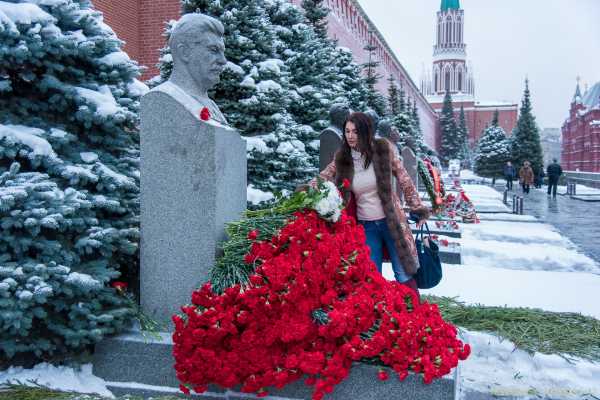 Сталинский цветок фото