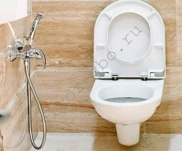 Как выглядит гигиенический душ в туалете картинки