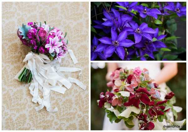 Каталог домашних цветов с фотографиями и названиями