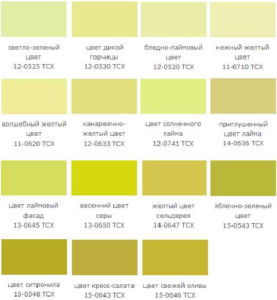 Желтовато зеленый цвет какой. Оттенки желтого цвета палитра пантон. Желто-зеленый цвет. Оттенки желтого и зеленого. Оттенки желто зеленого цвета.